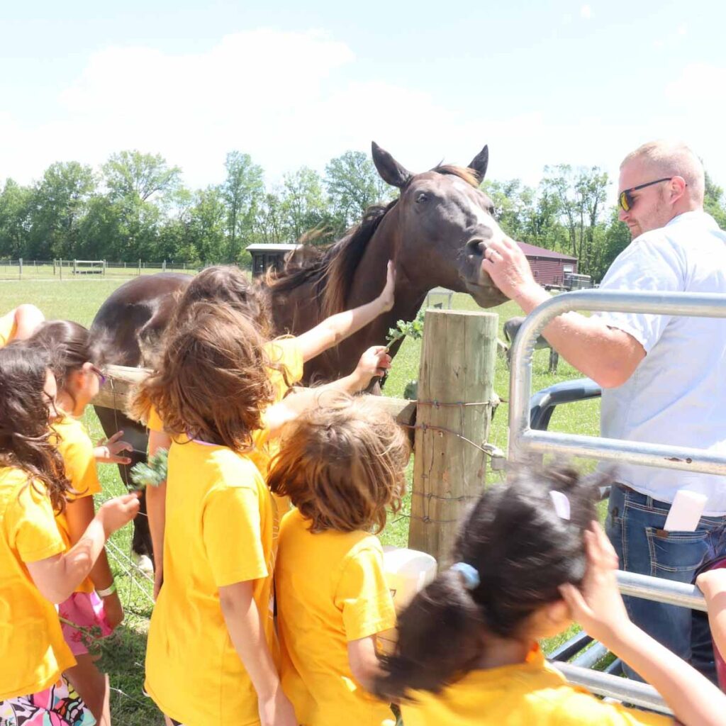 Group of young children shown by man to feed brown horse