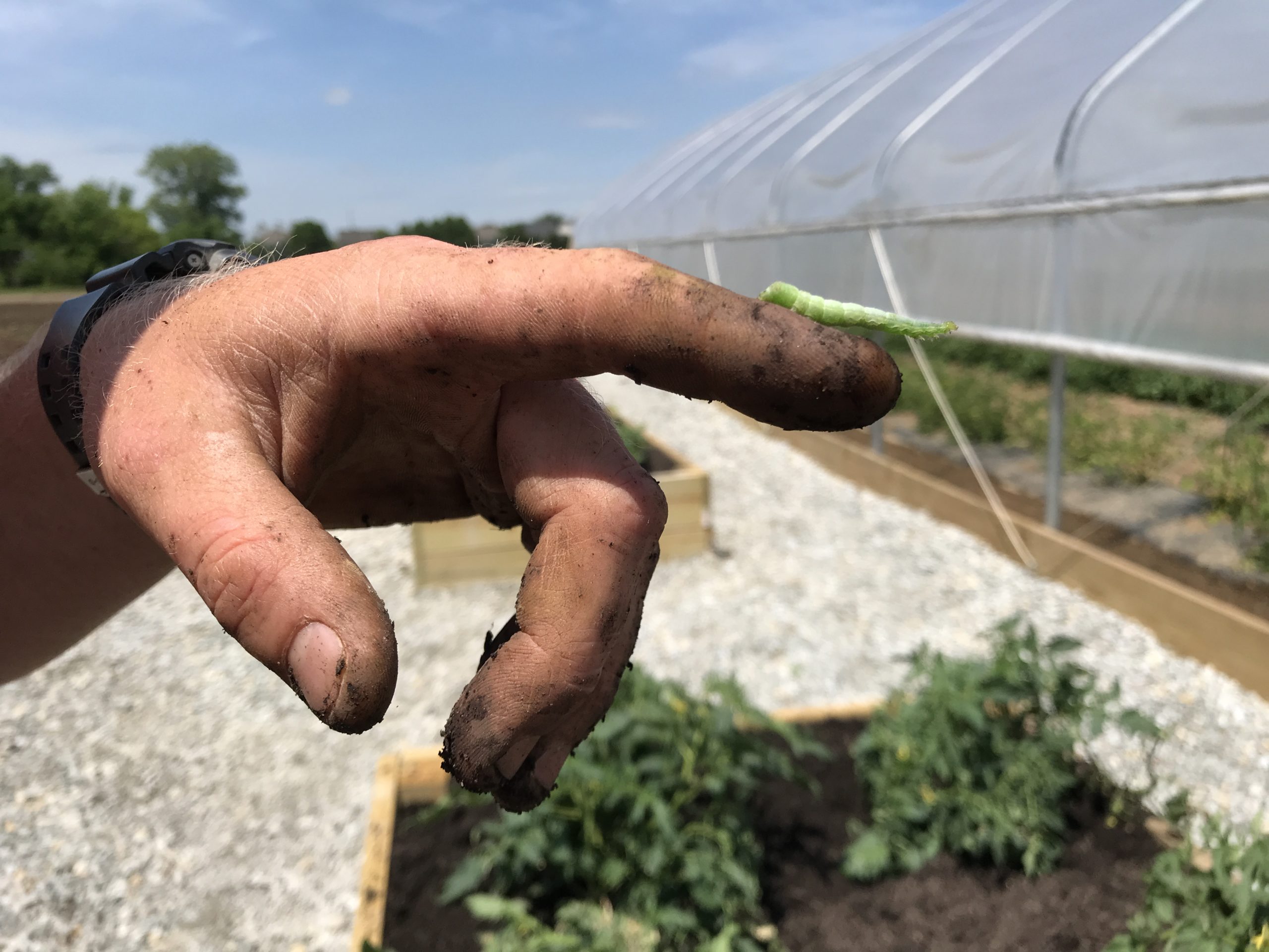 National Agriculture Day: A Look Ahead at the AgriPark Season