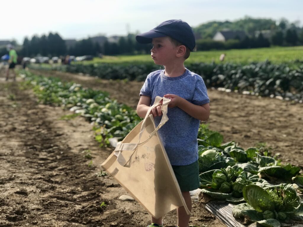 Young child holding bag stands in fields at Fishers Agripark