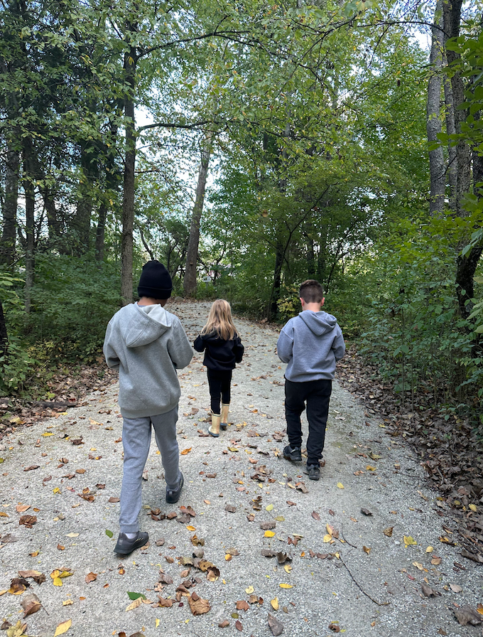 Three kids walk along a tree-lined path in a forest, fallen autumn leaves scattered on the ground.